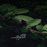 دانلود آهنگ اشیو مرد شدم عزا دار لابد حقمه از هیپهاپولوژیست دانلود آهنگ اشیو مرد شدم عزا دار لابد حقمه از هیپهاپولوژیست